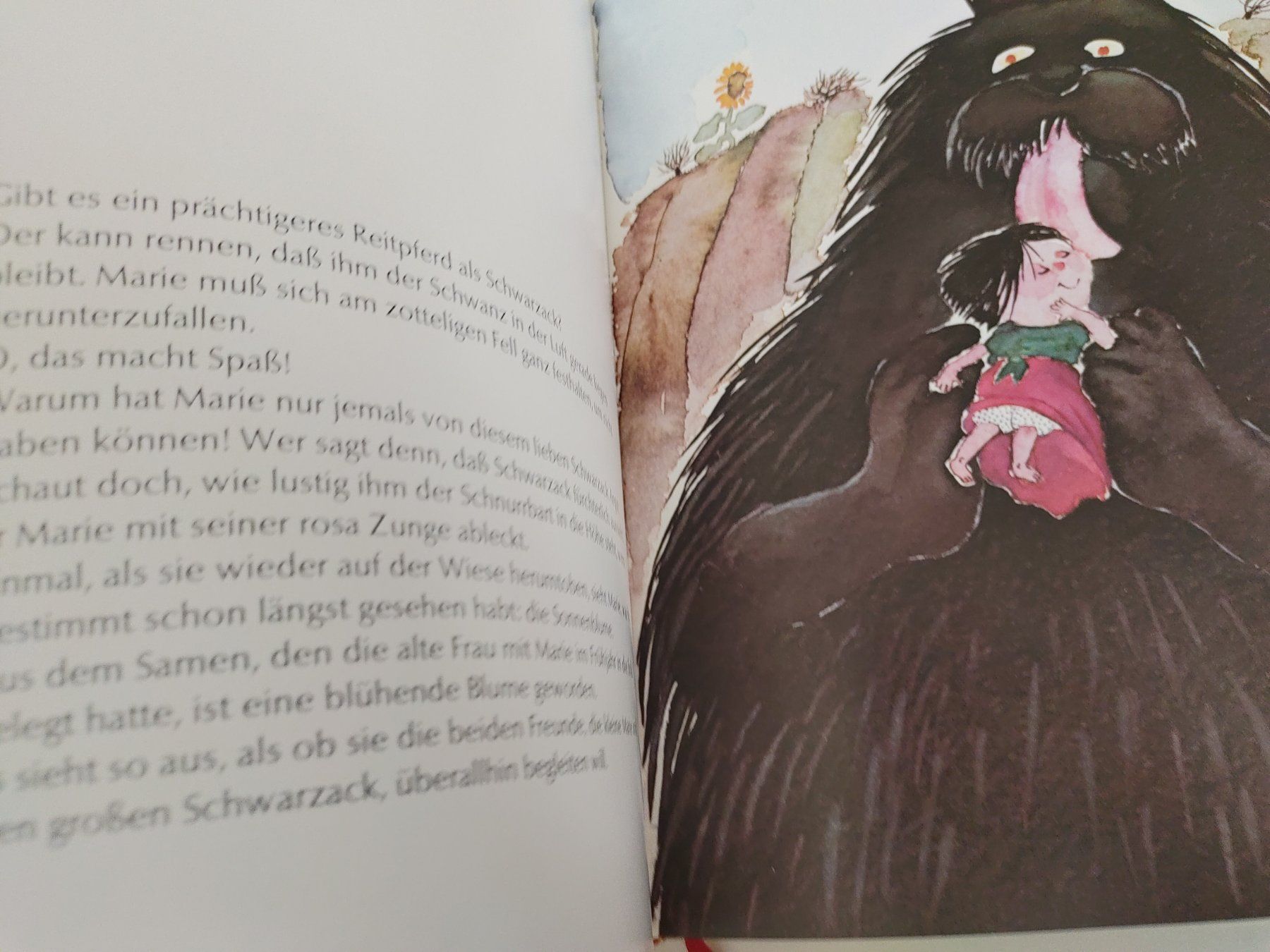 Libri: Kinderbuch/Bilderbuch: 7 auf einem Strich – Usato da Zürich venduto da Mar_Mic 3