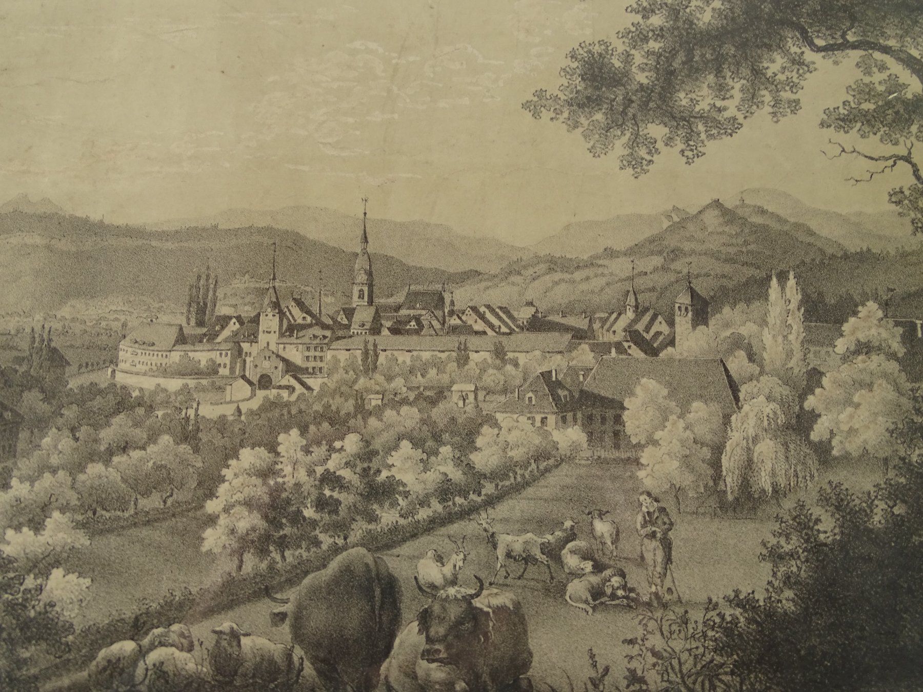 Stiche: ZOFINGEN, GROSSE LITHOGRAPHIE UM 1850 – Gebraucht aus Grüningen von Kartensammler 2
