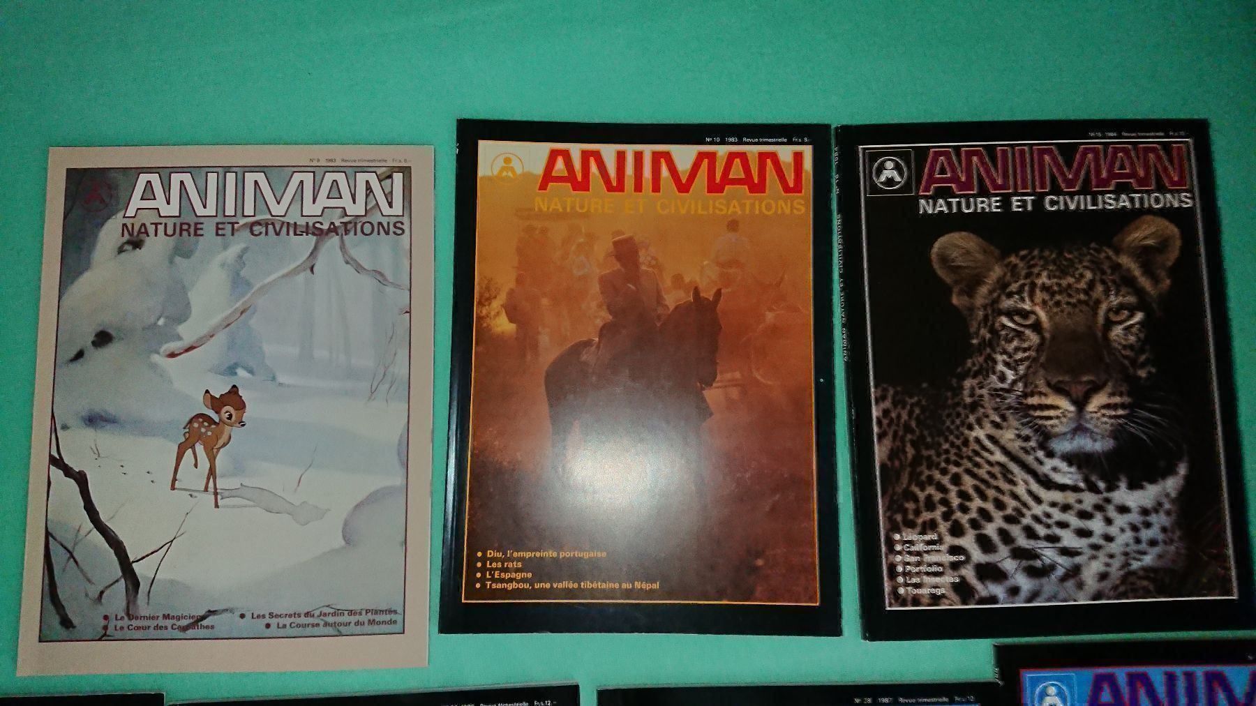 Riviste & Magazine: Animan / 7 Magazines – Usato da Cortaillod venduto da signep 7