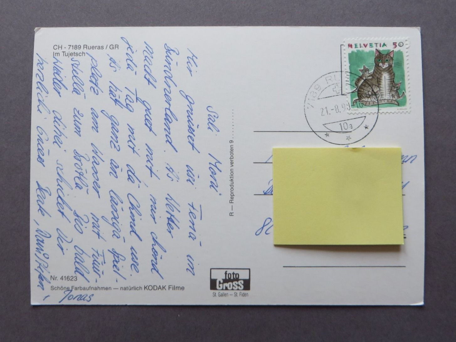 Cartoline postali: ANSICHTSKARTE, RUERAS IM TUJETSCH GRAUBÜNDEN 1990 – Usato da Neuhausen am Rheinfall venduto da Arielle55 1