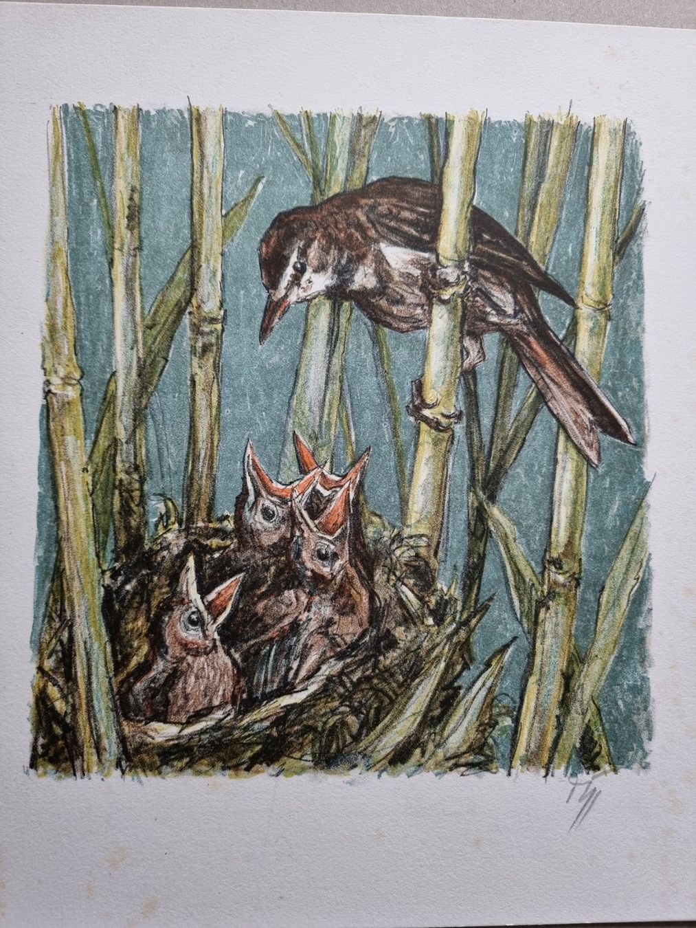 Grafiken & Lithographien: Diggelmann Alex Walter  LITHOGRAPHIE SIGNIERT – Gebraucht aus Gersau von kunst-online 1