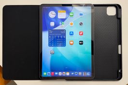 Apple iPad Pro 11 Zoll (1. Generation, Modell A1980) mit 256
