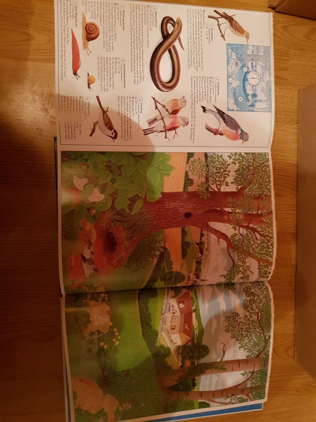 Libri: Buch Tag und Nacht – Nuovo e nell'imballaggio originale da Schwarzenburg venduto da Flamingo07 2