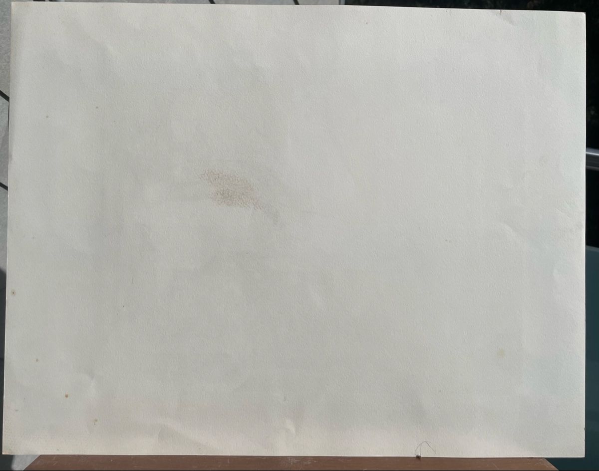 Grafiken & Lithographien: Willy Baer Lithographie Hermelin – Gebraucht aus Biel/Bienne von Galaq 4