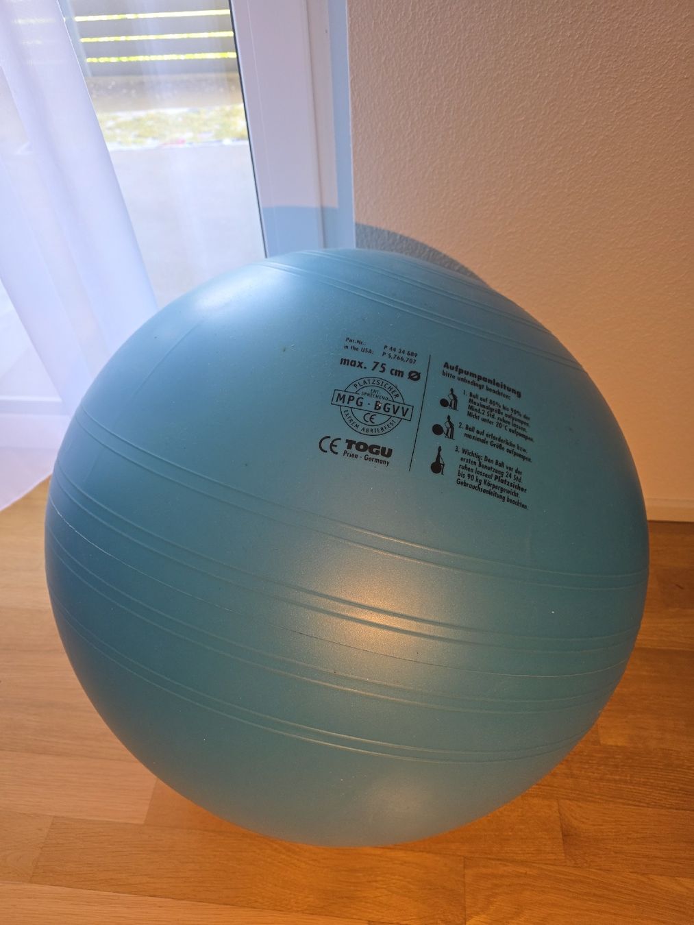 Togu Palloni: Gymnastikball grün – Usato da Gebenstorf venduto da Poseidon_ladiko