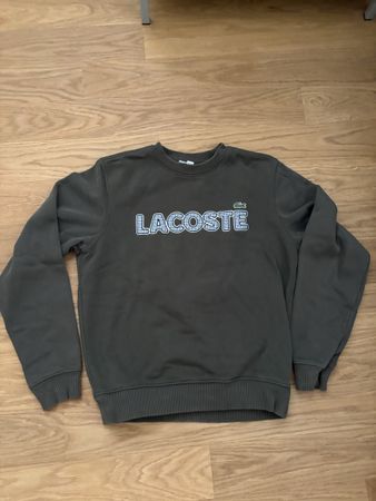 Lacoste Pullover Grösse S Khaki Warm für Herbst 🍂