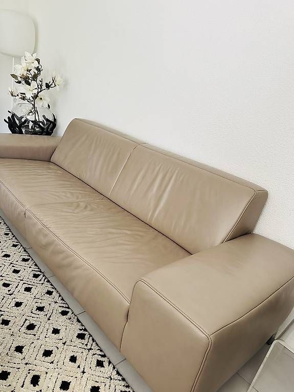 Koinor Divani: Sofa Echtleder – Usato da Küssnacht am Rigi venduto da duetri