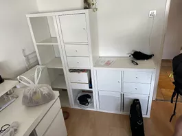 Ikea Kallax Regal 