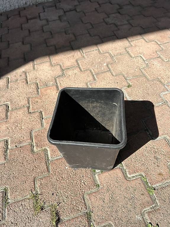 Pots de fleurs: Plastikpflanztöpfe – D'occasion à Azmoos par Hschafknecht 3