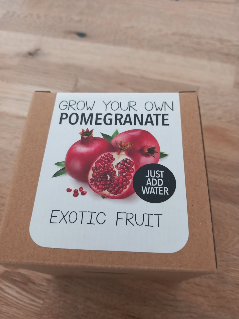 Piante & sementi: Pflanzen Samen Granatapfel. TOLLE GESCHENKIDEE – Nuovo e nell'imballaggio originale da Thun venduto da Beas-Allerlei