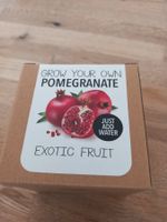 Pflanzen Samen Granatapfel. TOLLE GESCHENKIDEE