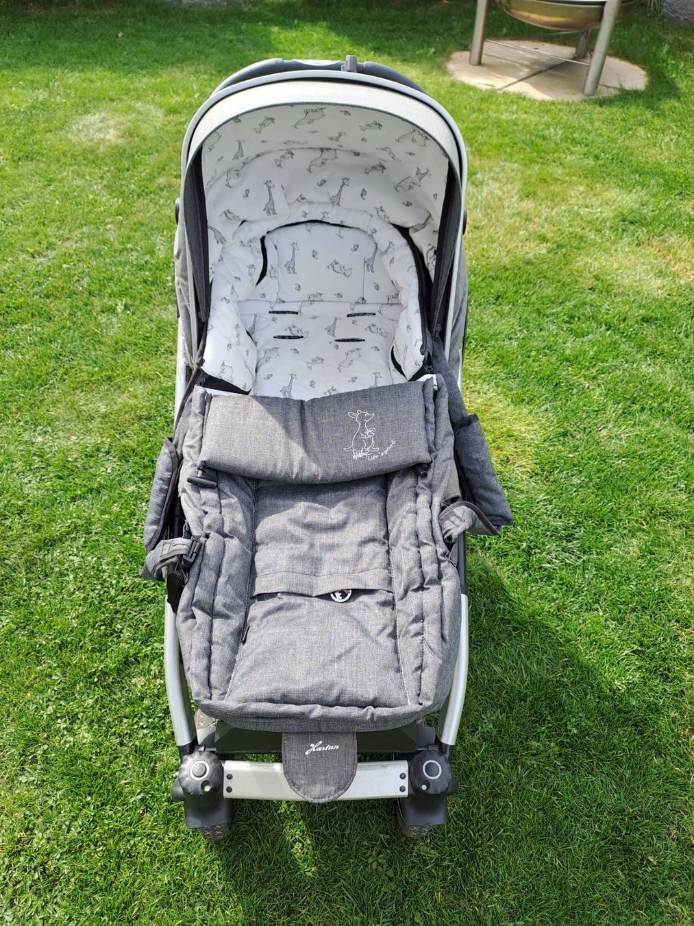 Hartan Carrozzine: Kinderwagen Hartan Racer GTS – Usato da Herznach venduto da Deiss05 1