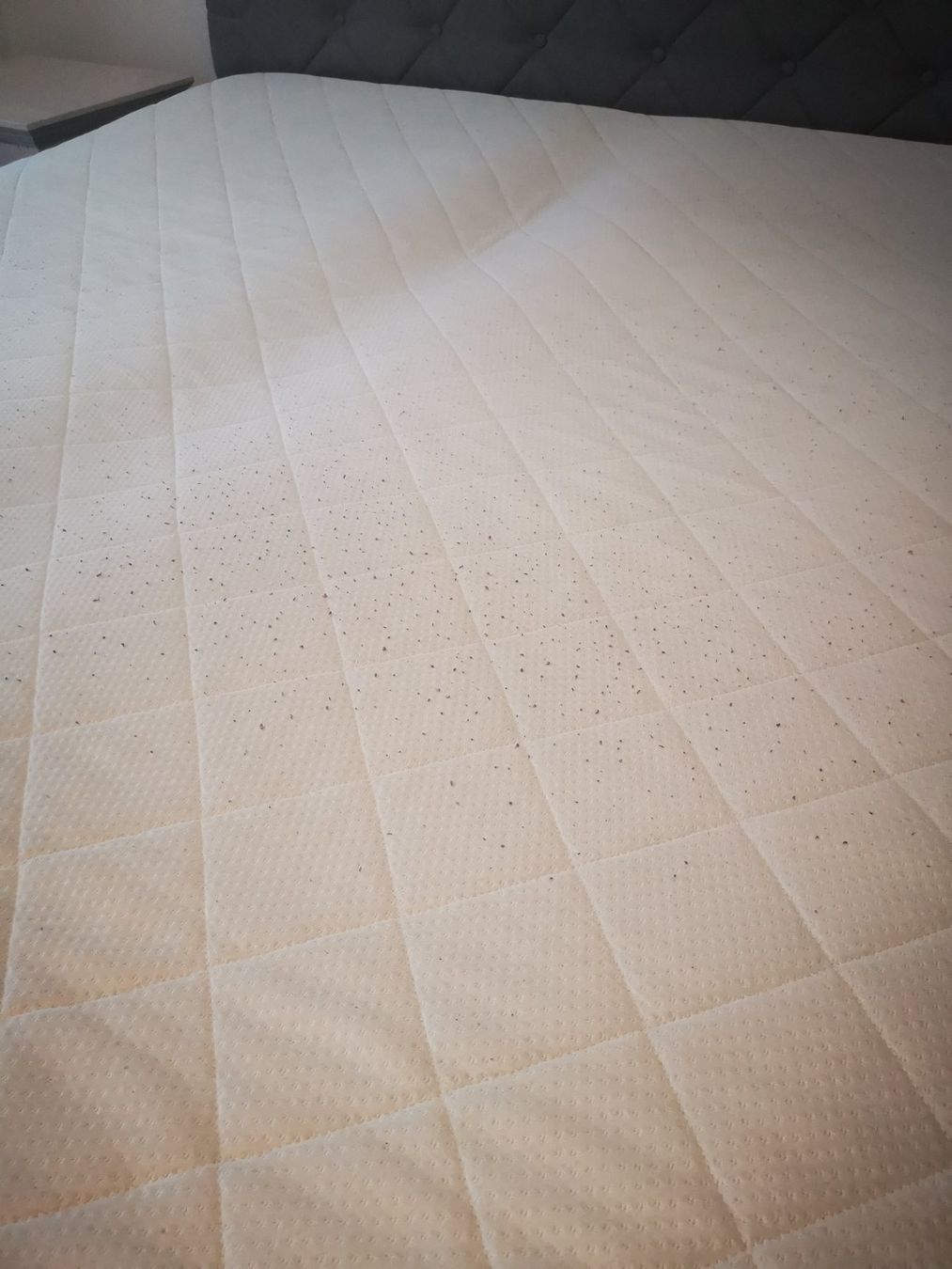 Betten: Graues Boxspringbett 180x200 – Gebraucht aus Eschlikon TG von kri_5lb6 4