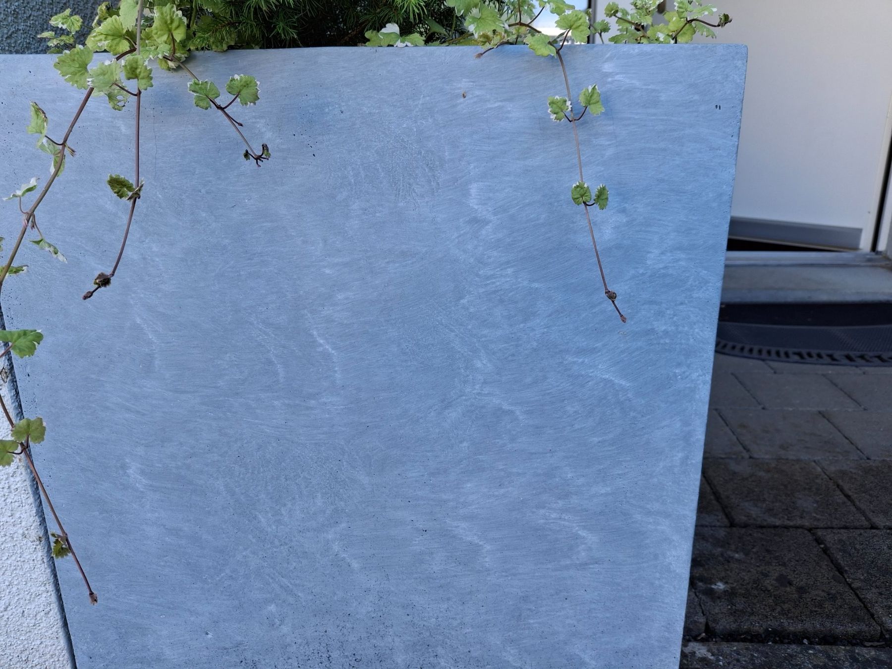 Blumentöpfe: Blumentopf, Pflanzkübel, Sichtschutz - grau – Gebraucht aus Emmenbrücke von ruf_fsy9 2