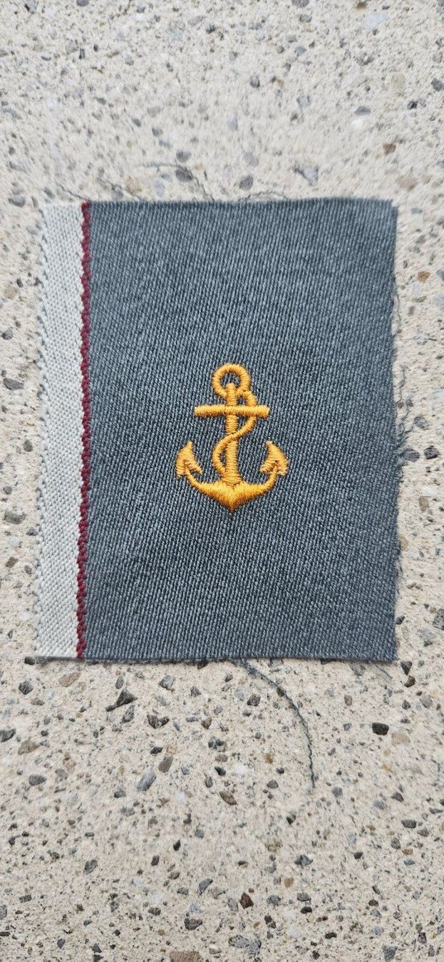 Schweizer Armee Placchette & Badge: *** Militär Abzeichen *** – Nuovo e nell'imballaggio originale da Riedholz venduto da fr_sIruP