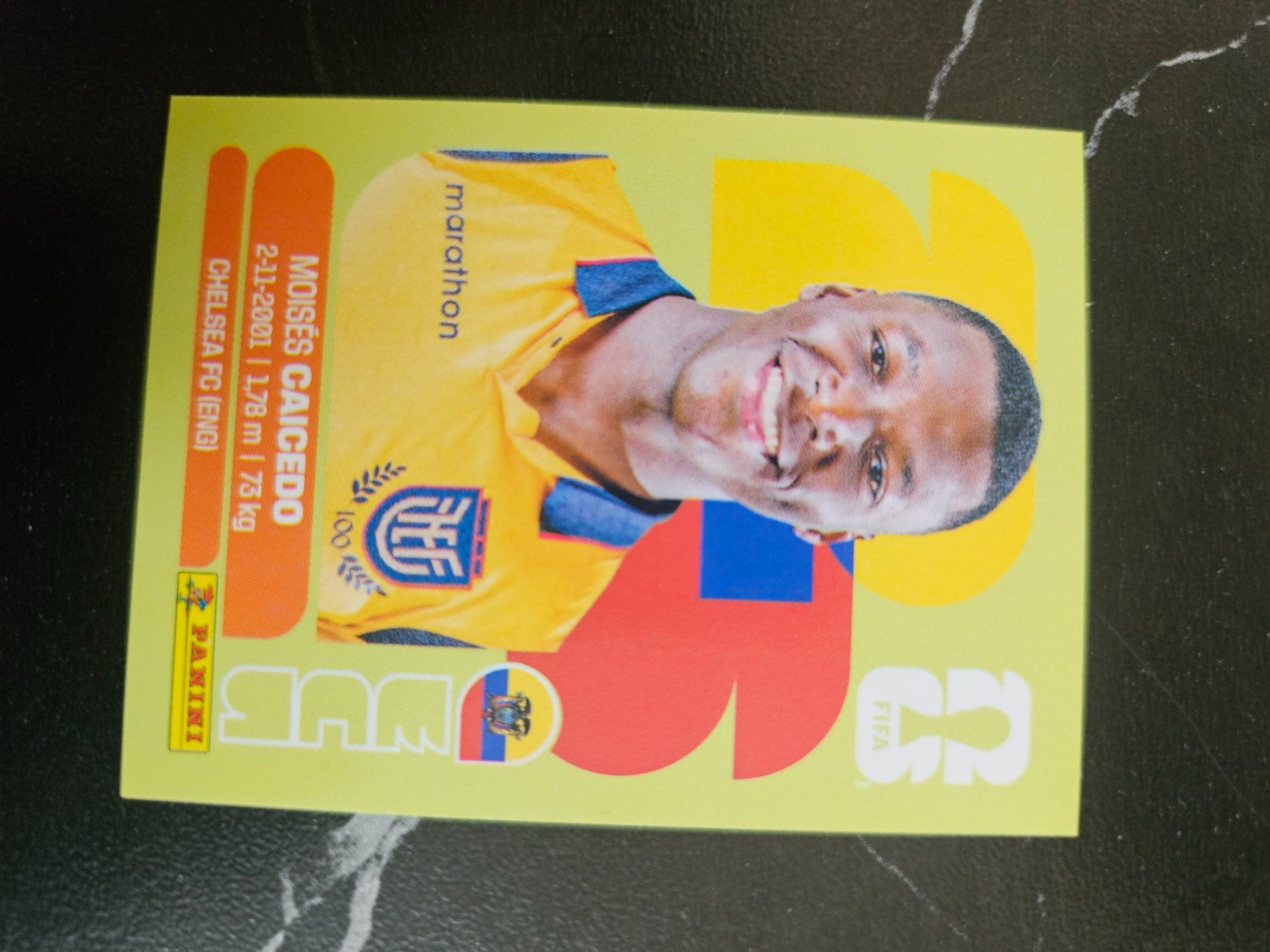 Panini Cartes à collectionner: ECU9 – D'occasion à Würenlingen par Dinli