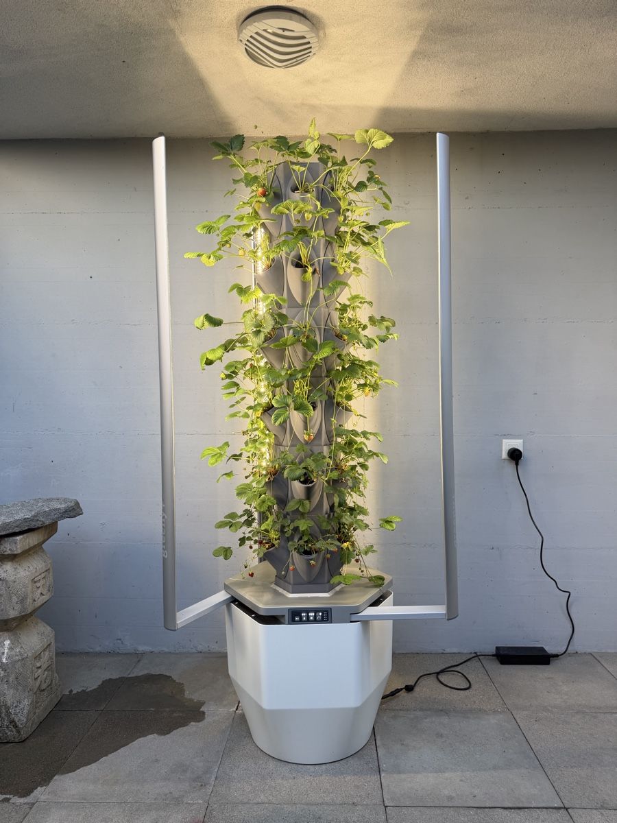 Altro: Garten System Greeny+ – Usato da Gossau SG venduto da car_7vlt