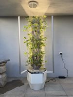 Garten System Greeny+