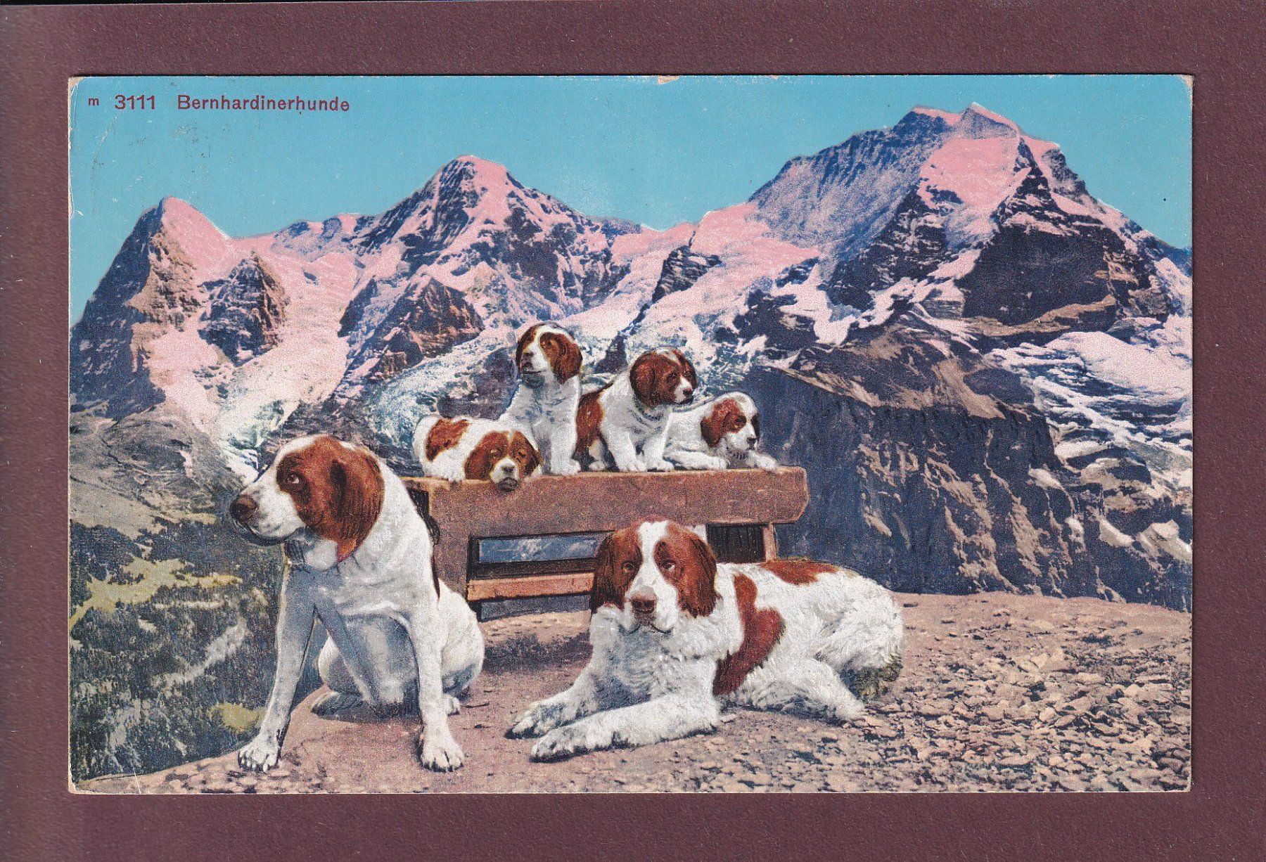 Cartes postales: BERNHARDINERHUNDE - Eiger - Mönch - Jungfrau - 1938 – D'occasion à Pully par nicecards