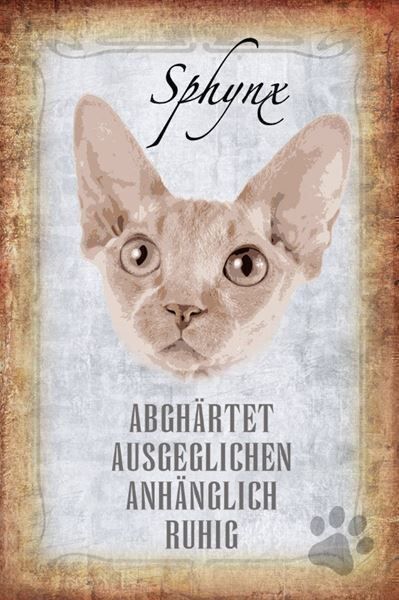 Insegne: Blechschild-STECKBRIEF-SPHYNX KATZE – Nuovo e nell'imballaggio originale da Rupperswil venduto da big-one-sale