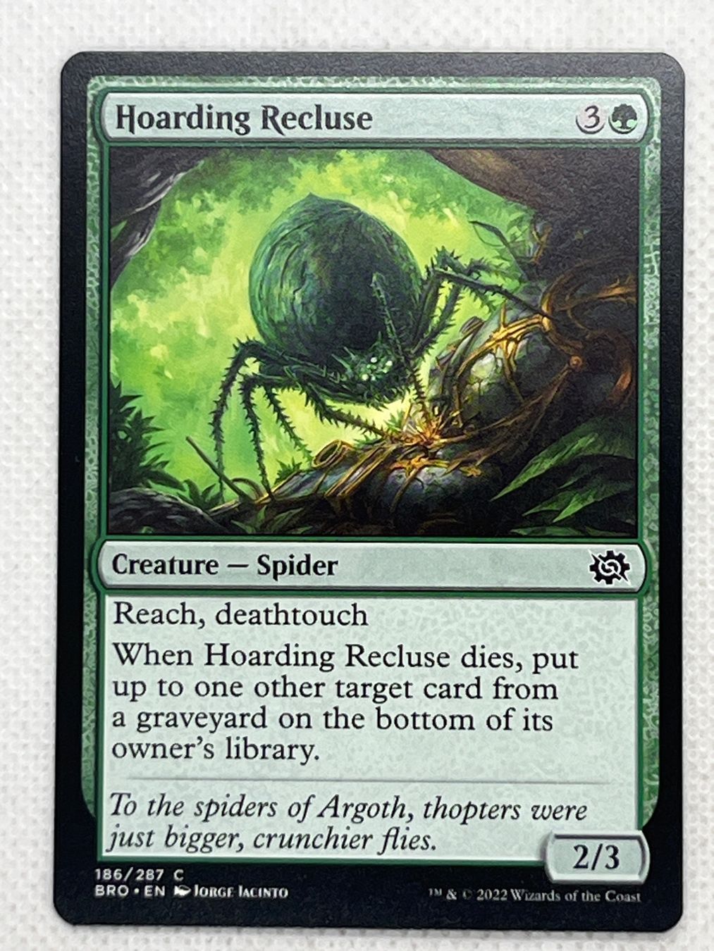 Magic The Gathering Carte collezionabili: MTG Hoarding Recluse BRO 186 Englisch Common – Usato da Hinterkappelen venduto da Kim1992