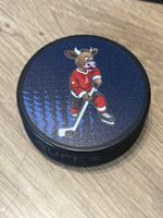 Puck IIHF WM 2026 Zürich - Fribourg