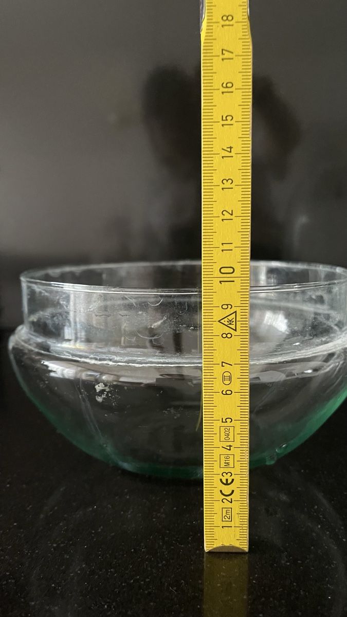 Terrario: Terrarium Glas Ei-Form – Usato da Neuhausen am Rheinfall venduto da nifi.plants 5