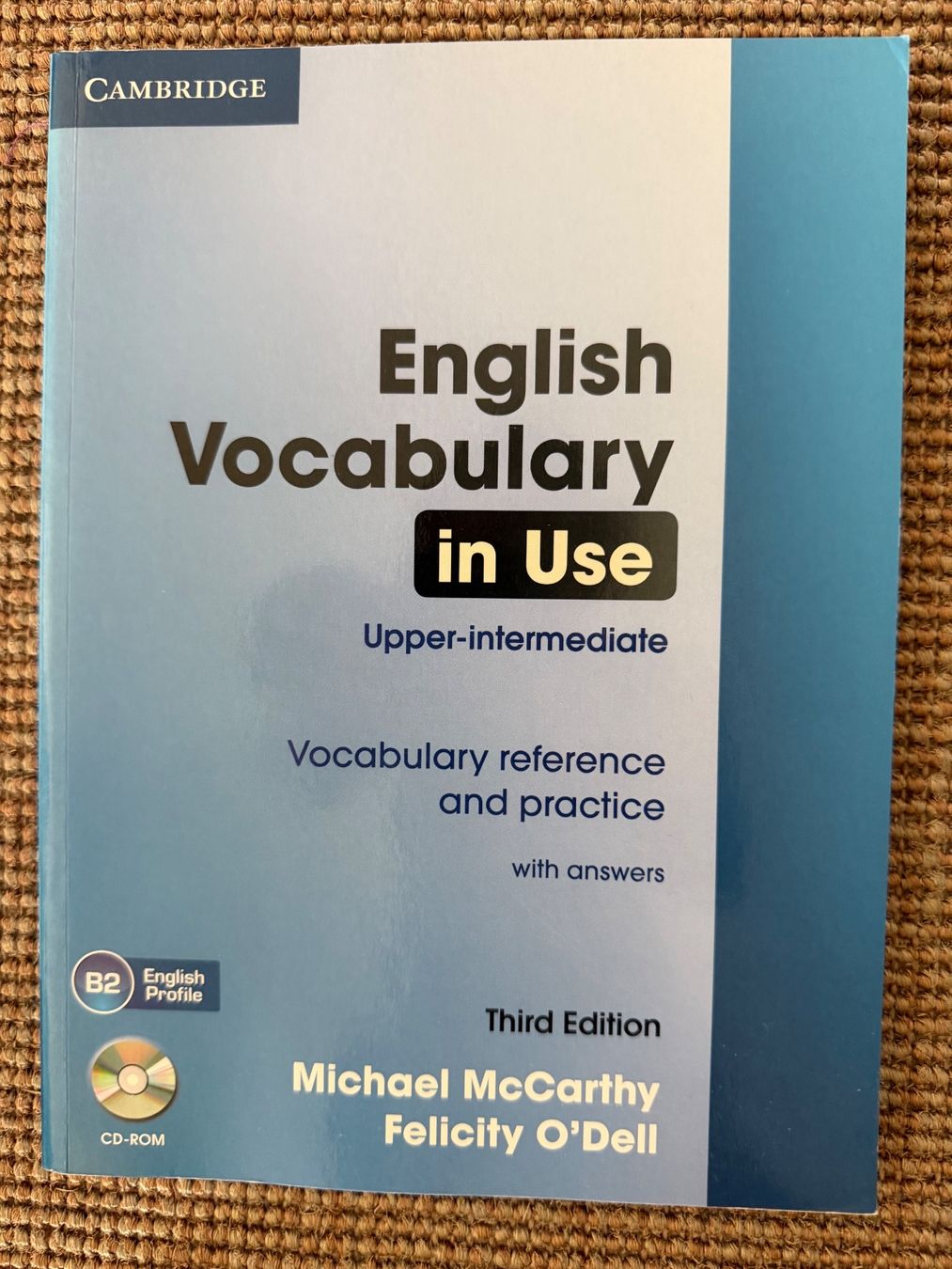 Libri: Englisch Grammatik und Vokabular – Nuovo (secondo la descrizione) da Rothenfluh venduto da hegy 1