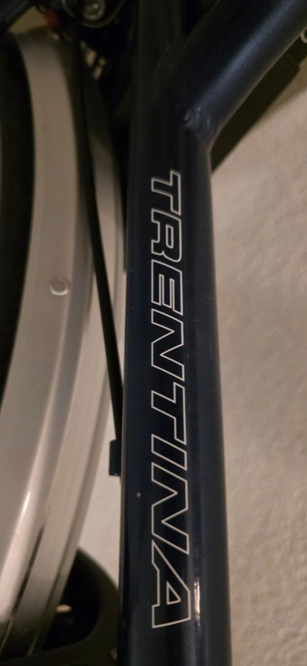 Mondia Biciclette: Damenvelo – Usato da Pieterlen venduto da msf_7sdw 3