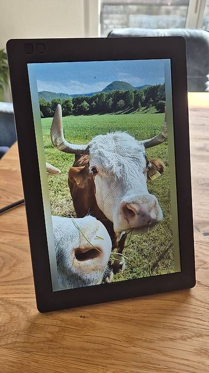 Cornici: Nixplay Digital Bilderrahmen W10B + WLAN – Usato da Oberarth venduto da g3n_h6sr