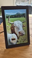 Nixplay Digital Bilderrahmen W10B + WLAN