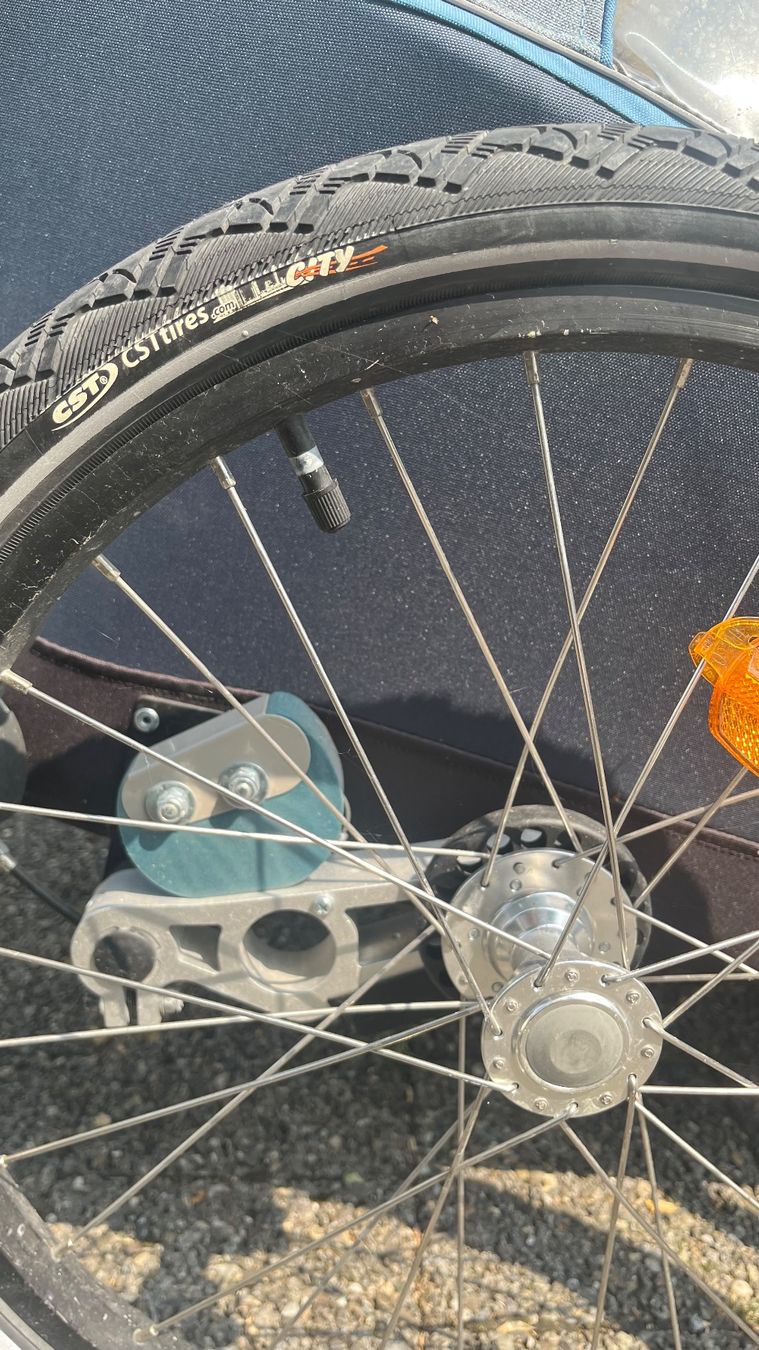 Croozer Rimorchi: Croozer Kid PLUS for 1 - Kinderanhänger – Usato da Männedorf venduto da nitwit 1