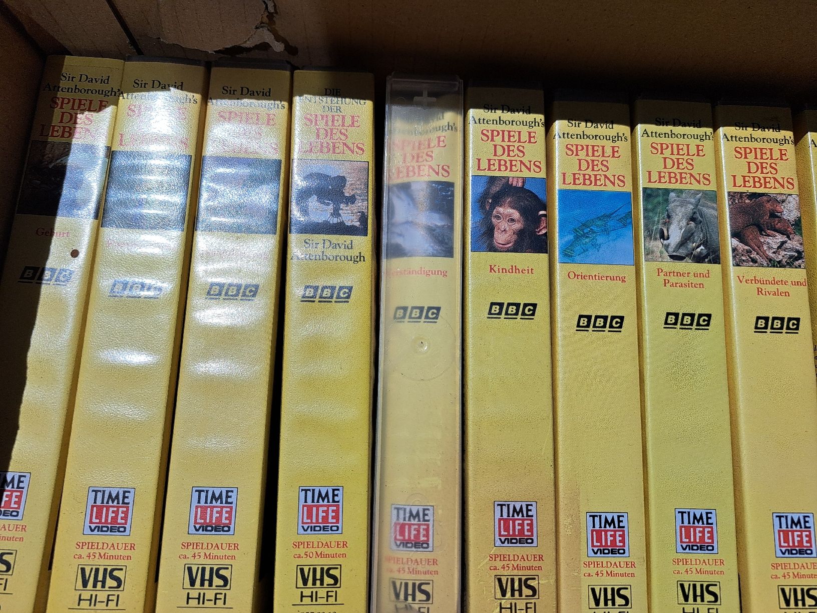 Tutti i VHS: Tierfilme – Usato da Gersau venduto da aebifan