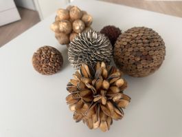 Deko Kugeln Set 6 Stück Naturmaterialien