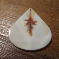 Tropfenförmiger Dentrit-Achat 25 Carat