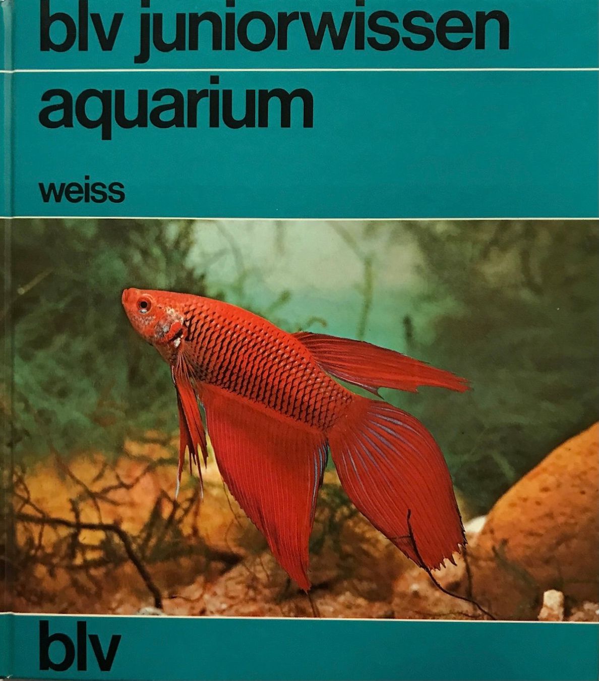 Libri: juniorwissen aquarium – Usato da Sarnen venduto da Livres