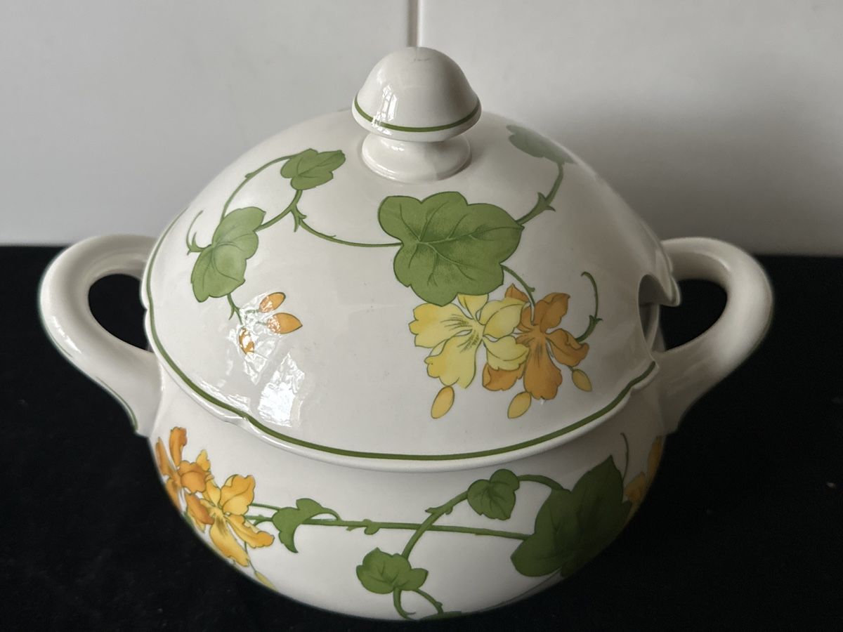 Villeroy & Boch Ciotole: Villeroy & Boch Suppenterrine Geranium – Usato da Zürich venduto da Chaeffeler