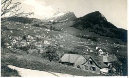 Amden 4 Karten 3x gelaufen Ortsstempel 1919/24/62