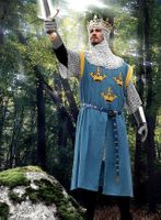 Wappenrock König Arthur (Kostüm)
