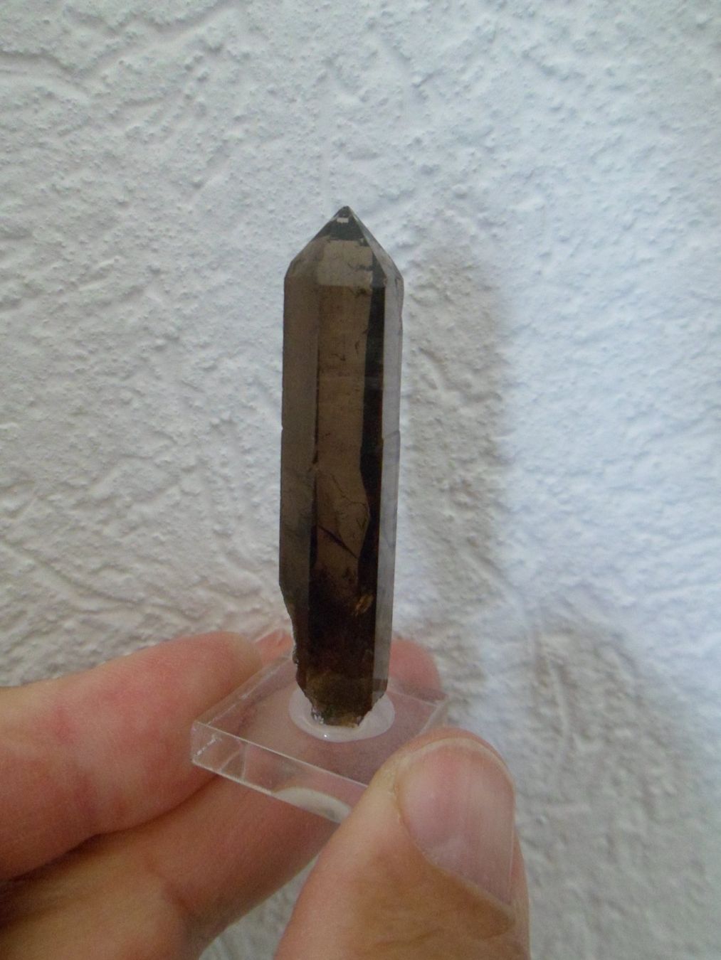 Minerali & Pietre curative: Rauchquarz Schweiz – Usato da Affoltern am Albis venduto da Fossil60 3