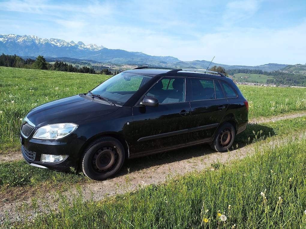 Skoda Automobili: Skoda Fabia 1,2 TSI – Usato da Wichtrach venduto da Gfeui87