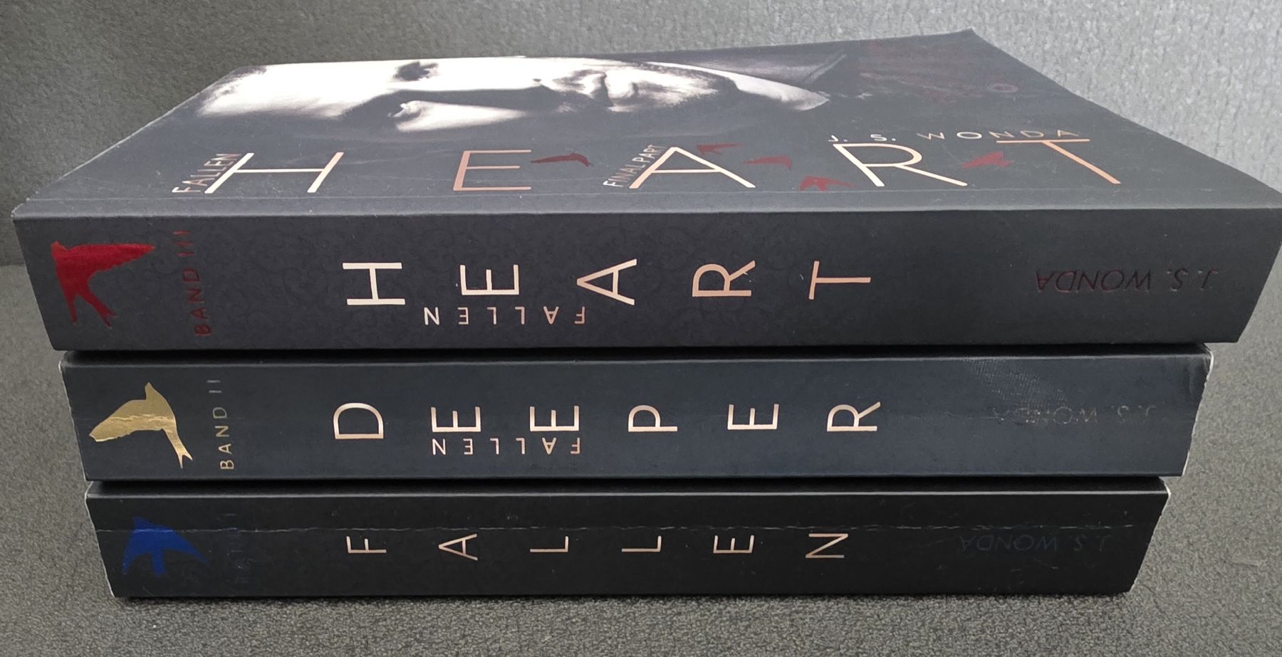 Libri: Dark Romance Fallen Reihe J.s Wonda – Usato da Tägerwilen venduto da XeniaH 1