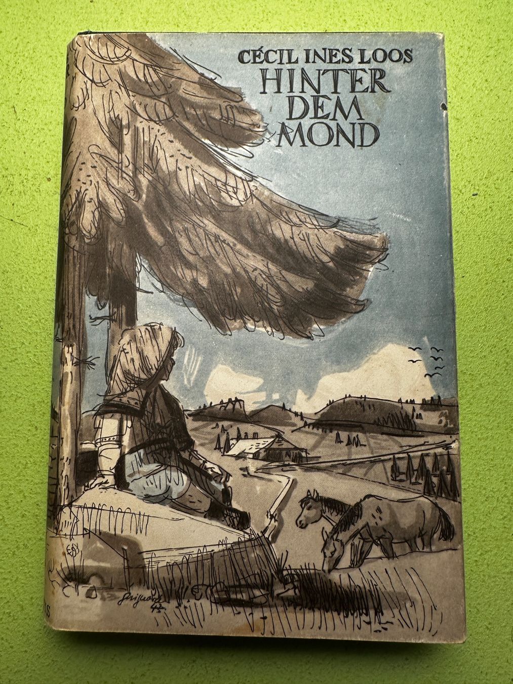 Libri: Cécile Ines Loos: Hinter dem Mond – Usato da Zürich venduto da allp