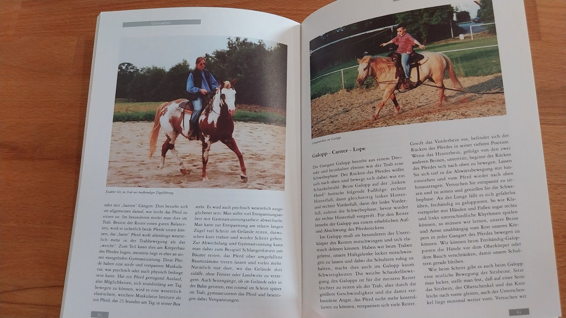 Bücher: Westernreiten im Westernstyle - Buch – Gebraucht aus Staufen von Sunsetranch 3
