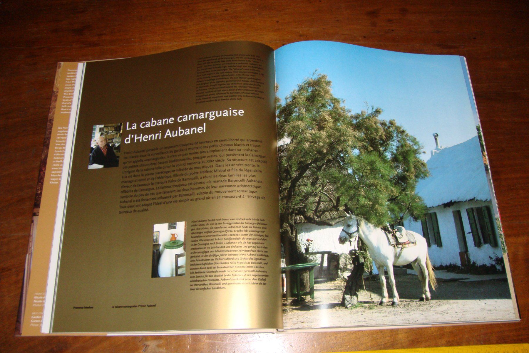 Livres: PROVENCE INTERIORS Sprachen F, D, E Kunstbuch Einband Leinen – D'occasion à Bern par carola31 5