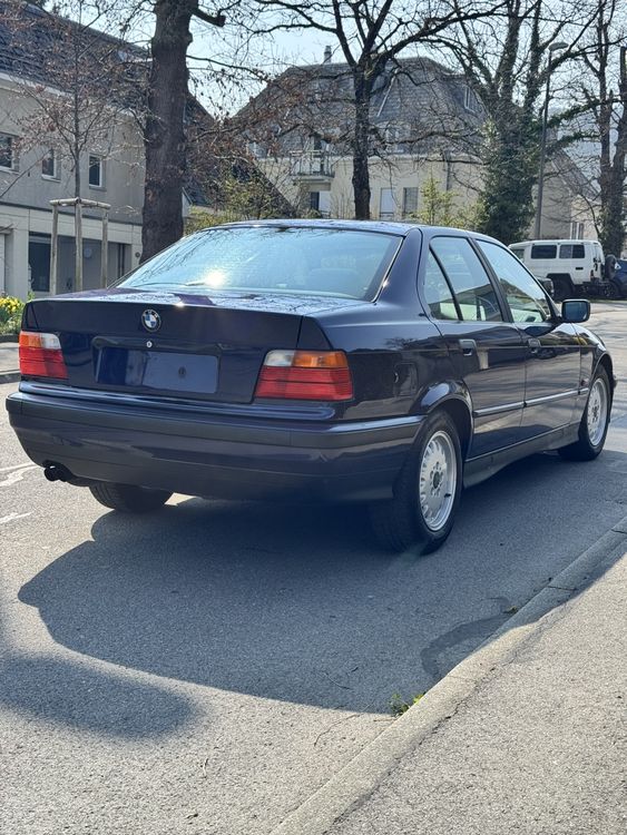 Bmw E36 Gebrauchtnull