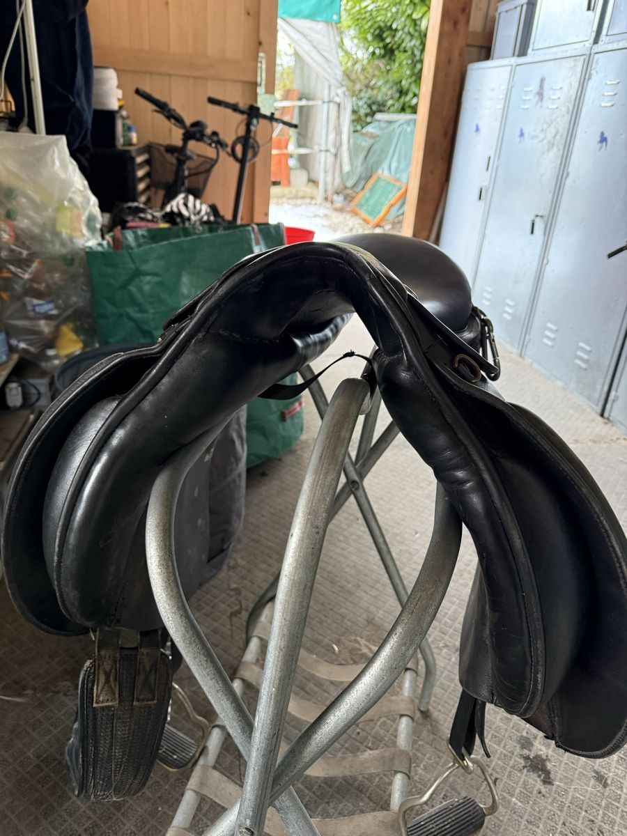 Selle & Accessori: Sattel Massimo Tölt 1 Isländer – Usato da Mönchaltorf venduto da lis_d9gm 2