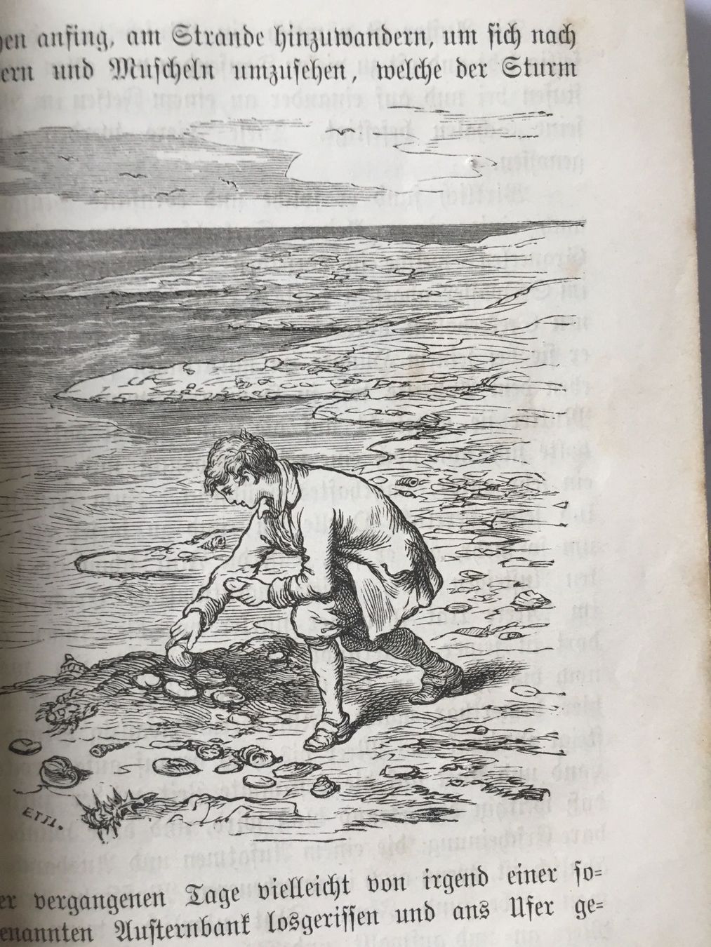 Libri: Robinson der Jüngere 1889 – Usato da Gerlikon venduto da jabadabadu 2