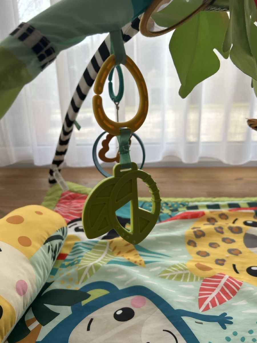 Fisher-Price Tappeto da gioco: Fisher Price Sensorische Erlebnisdecke – Usato da Birmenstorf AG venduto da Reninata 2