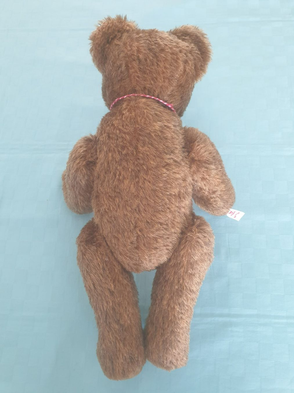 Giocattoli: Teddybär Teddy Clemens – Usato da Mörschwil venduto da spirspi 7